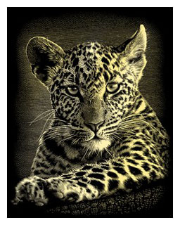 gravura-leopard-cub-reeves_3182_1_1341906978