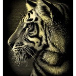 gravura-tiger-reeves_3185_1_1341908110